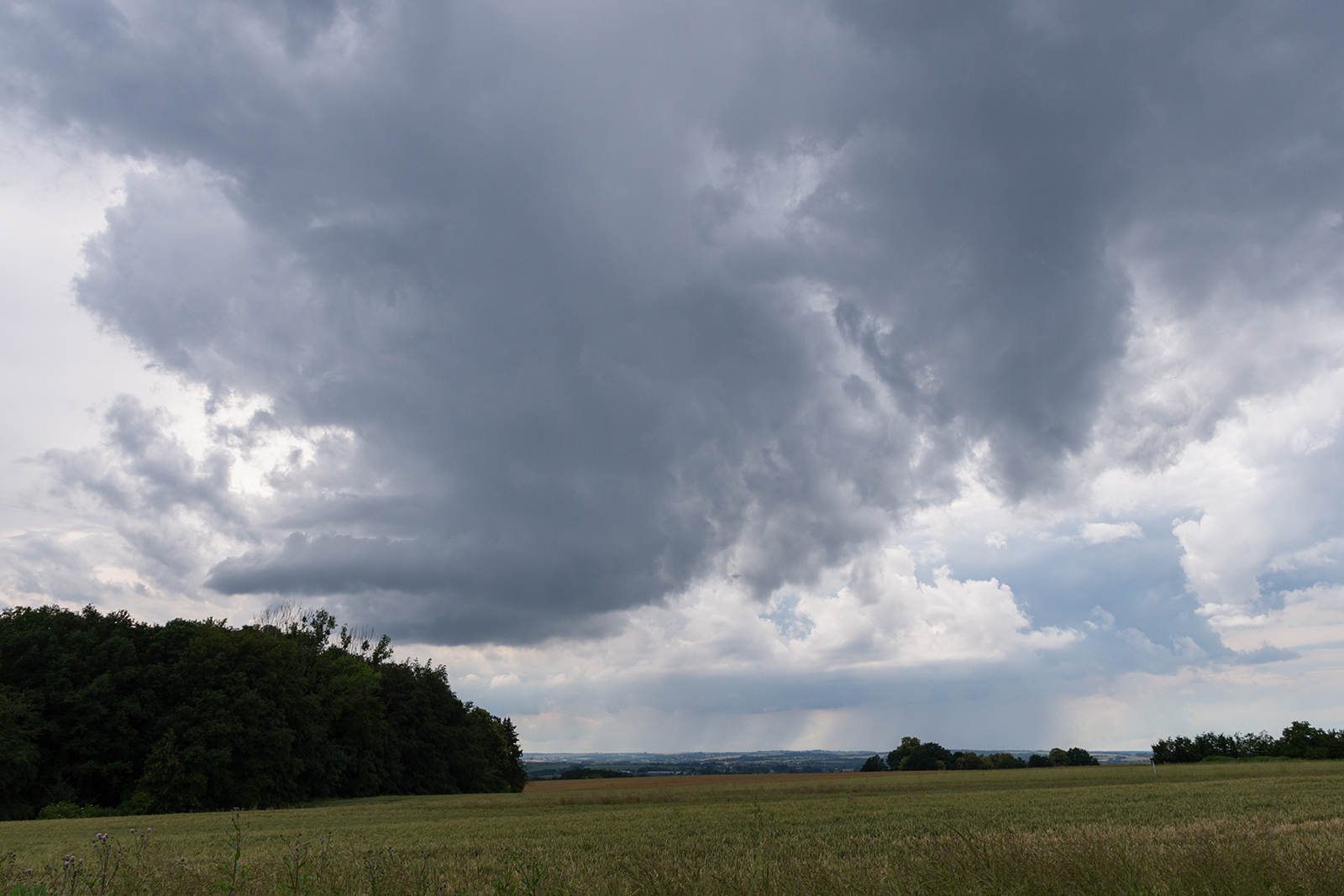 © Matěj Grék