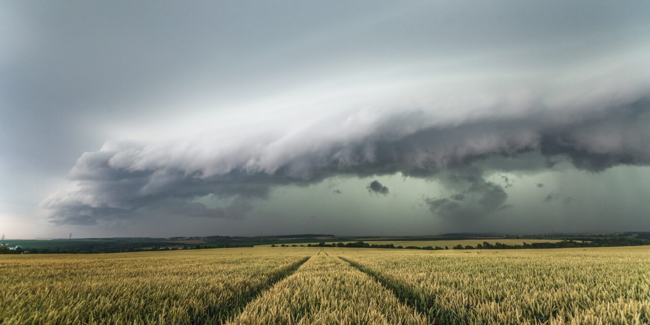 „Zelený shelf“ 13. 7. 2021