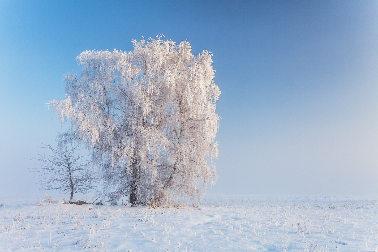 © Dagmar Drahokoupilová