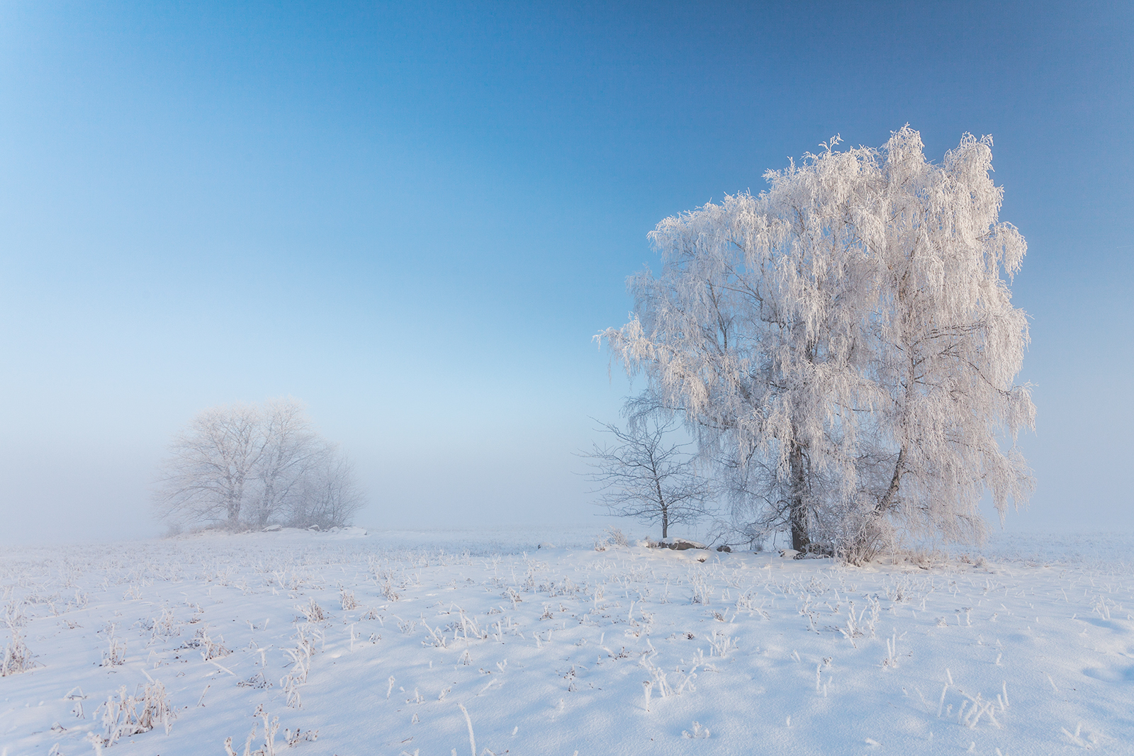 © Dagmar Drahokoupilová