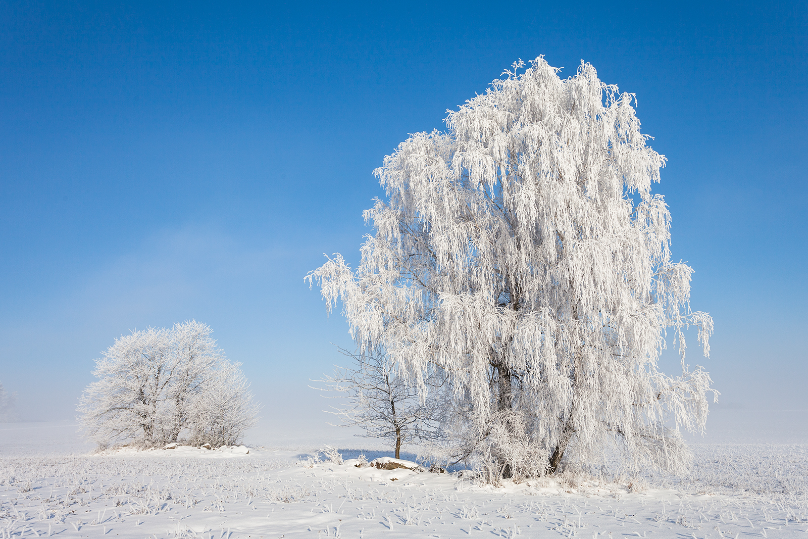 © Dagmar Drahokoupilová