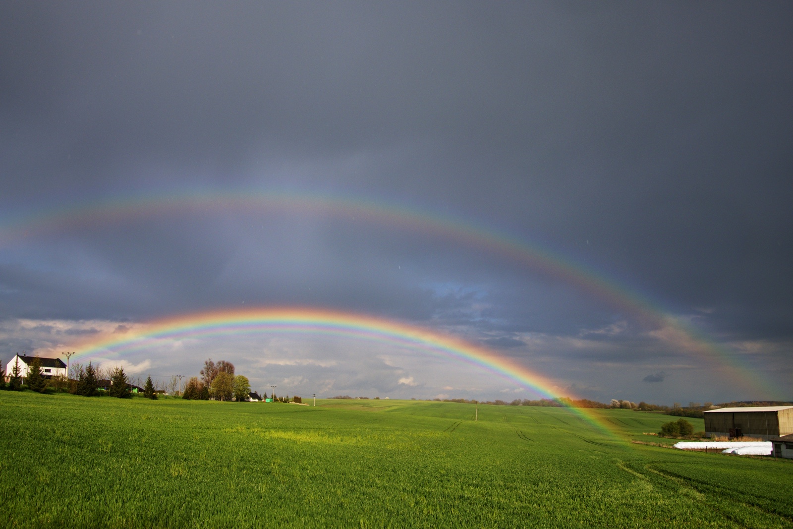 © Jiří Kaňovský